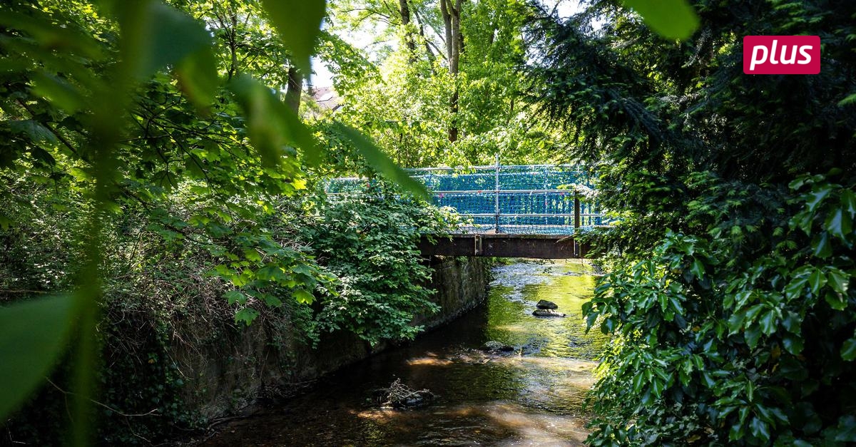 Sperrung der Promenade Bald wieder freie Bahn an der Modau